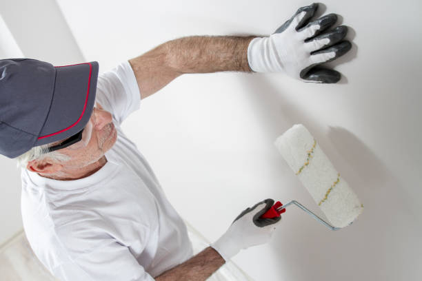 Best Mold Removal for HVAC Installations  in Pembroke, GA