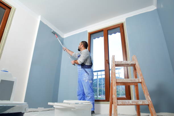 Best Attic Mold Removal  in Pembroke, GA