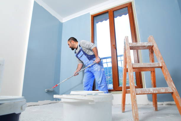  Pembroke, GA Mold Removal Pros