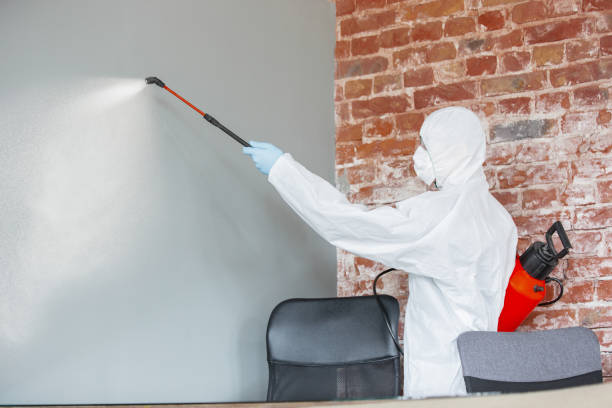 Best Real Estate Mold Inspection  in Pembroke, GA