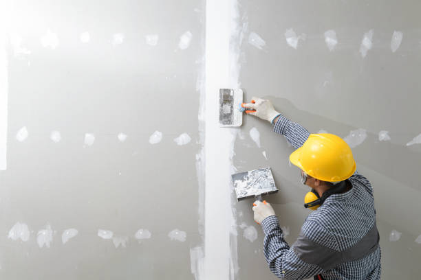 Best Water Damage & Mold Remediation  in Pembroke, GA