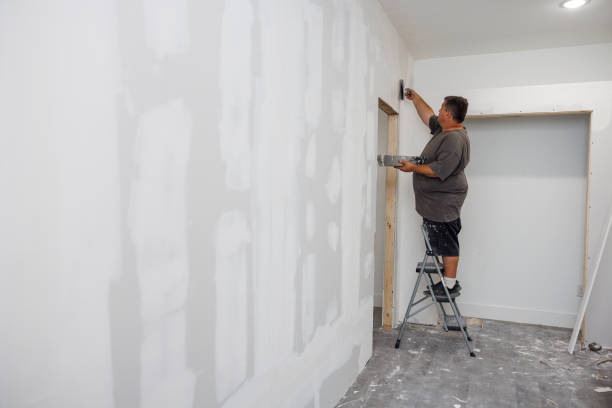 Best Mold Remediation for Healthcare Facilities  in Pembroke, GA