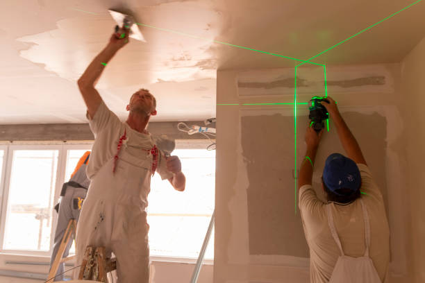 Best Mold Damage Restoration  in Pembroke, GA