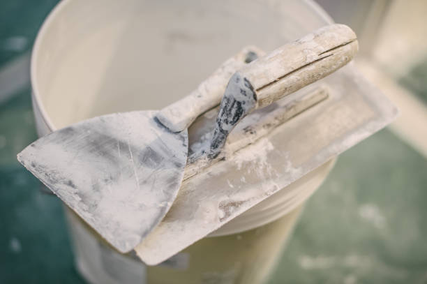 Best Mold-Related Health Consultation  in Pembroke, GA